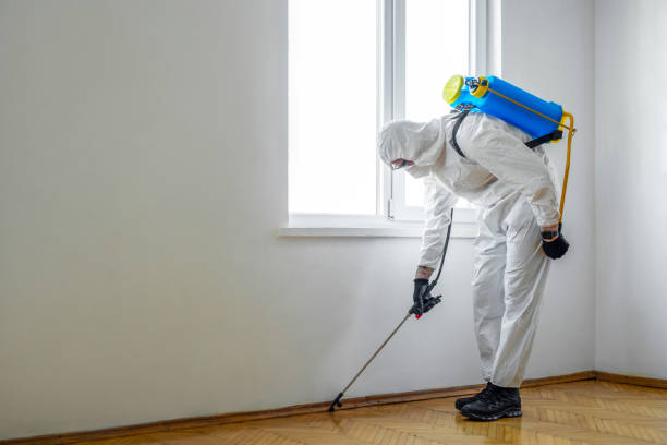 Best Emergency Pest Control  in Strathmore, NJ